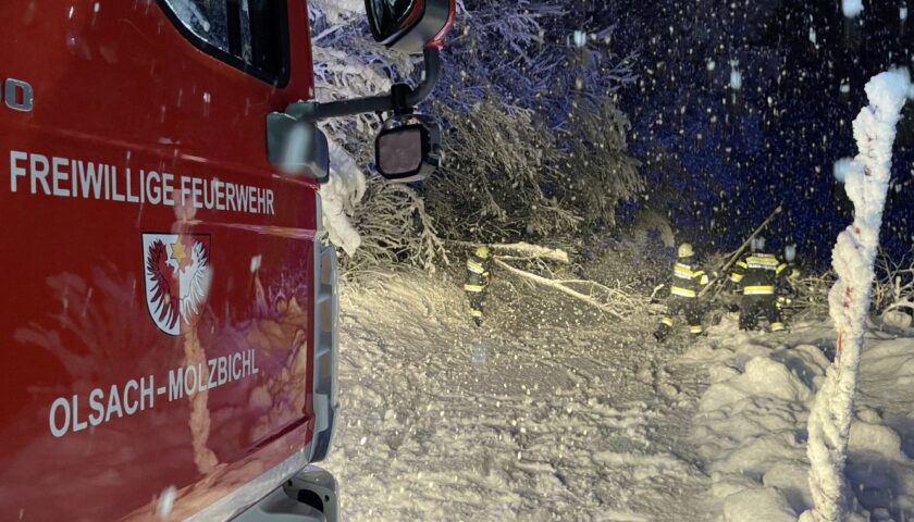 Baum Auf Fahrbahn Feuerwehr Olsach Molzbichl